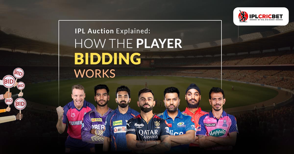 IPL Auction Explained: How The Player Bidding Works